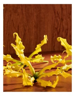 Flash Sale ⌛ GUCCI Eau De Parfum ⭐ -Estée Lauder Sales unnamed file 605