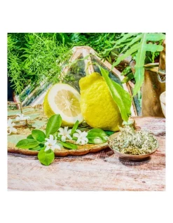 Budget ❤️ GUCCI 1921 Eau De Parfum 100ml ✔️ -Estée Lauder Sales unnamed file 616