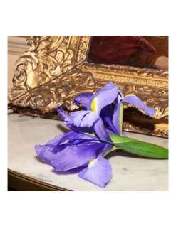 Buy ✨ GUCCI Tears Of Iris Eau De Parfum 100ml 🔔 -Estée Lauder Sales unnamed file 632