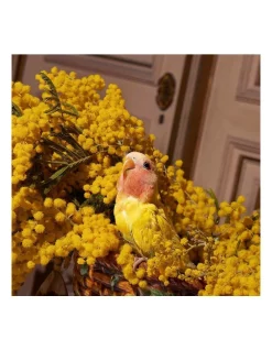 Best Sale 😀 GUCCI Winter's Spring Eau De Parfum 100ml 👏 -Estée Lauder Sales unnamed file 638