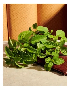 Best Pirce 🛒 GUCCI Eau De Parfum 🌟 -Estée Lauder Sales unnamed file 697