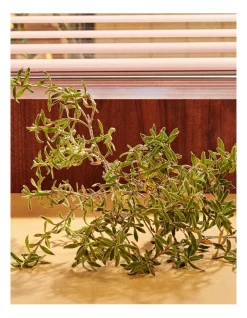 Best Pirce 🛒 GUCCI Eau De Parfum 🌟 -Estée Lauder Sales unnamed file 698