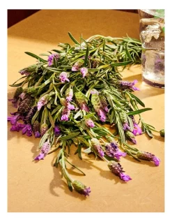 Best Pirce 🛒 GUCCI Eau De Parfum 🌟 -Estée Lauder Sales unnamed file 699